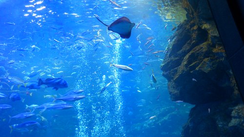 DSC_0275.JPG